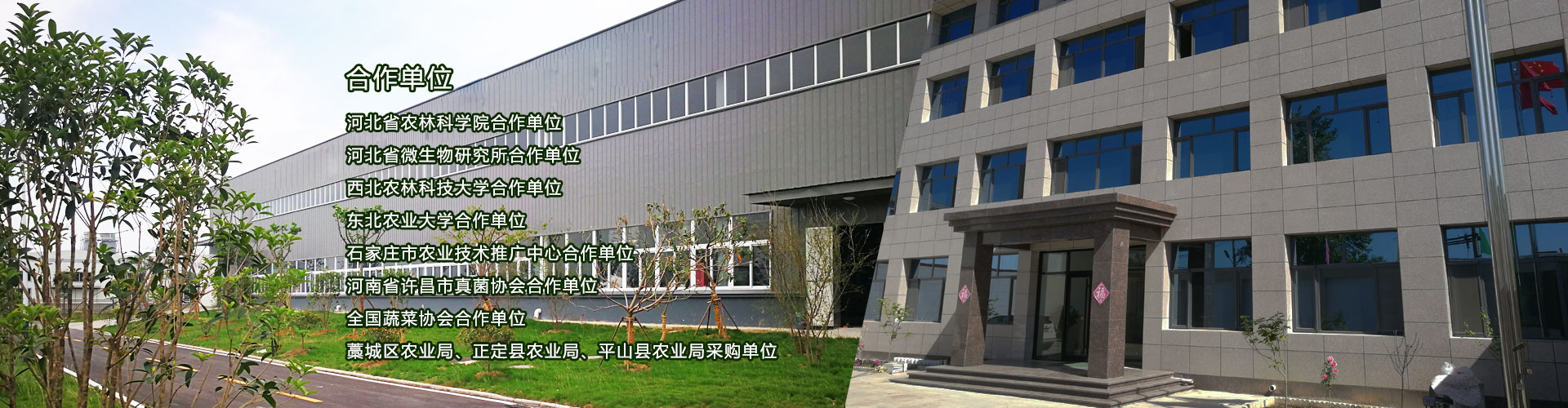 沃丰隆,沃丰地宝,金斗耘