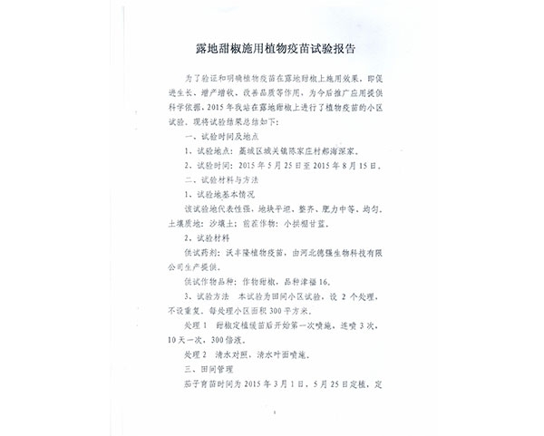 甜椒增产报告