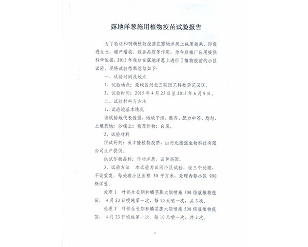 洋葱增产报告