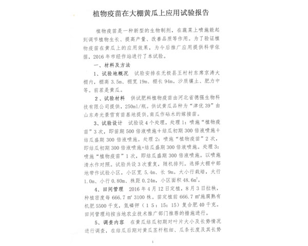 沃丰隆,沃丰地宝,金斗耘黄瓜增产报告