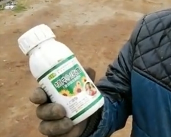 植物应用