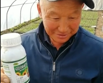 植物应用