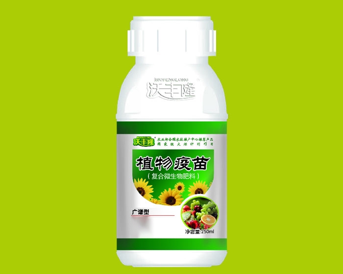 沃丰隆型植物