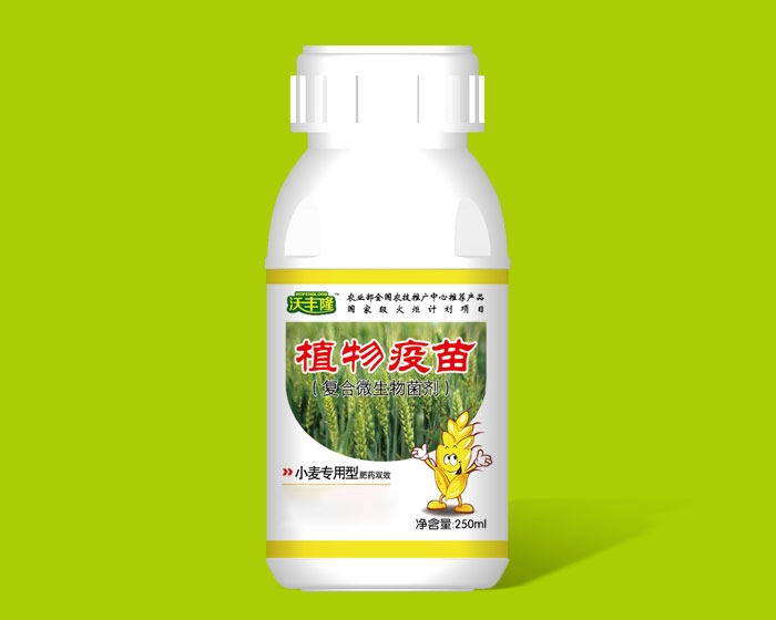 小麦专用型